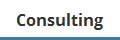 Consulting